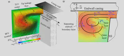 Complex vortex structure in the tip region of a turbomachine